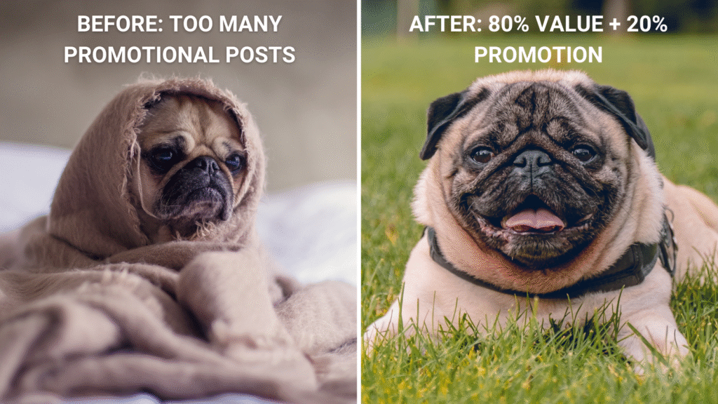 keeping social media content fresh by using relative memes; this image is of a dog before and after following the 80/20 rule